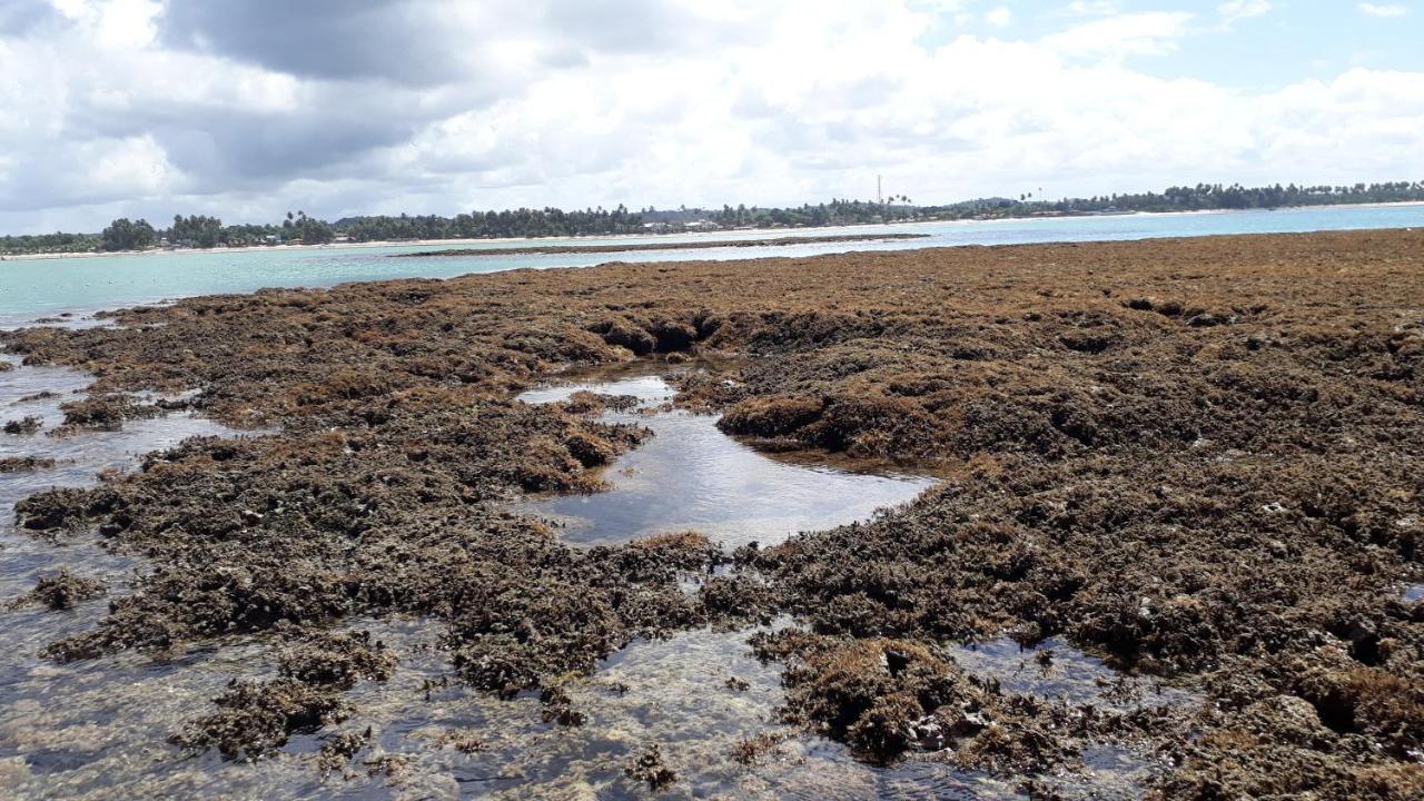 Parque Dos Coqueiros- Bangalos E Suites Maragogi Zewnętrze zdjęcie